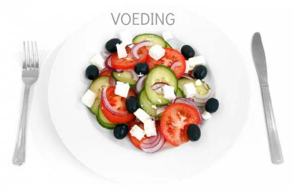 voeding