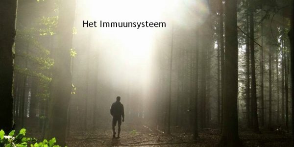 het immuunsysteem