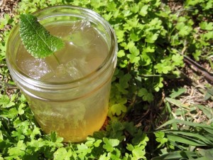 yerba_mate, afslanken en slank blijven