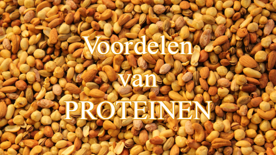voordelen proteine