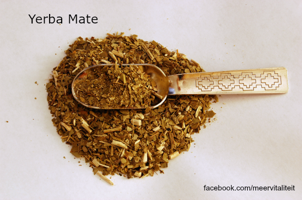 Yerba Maté