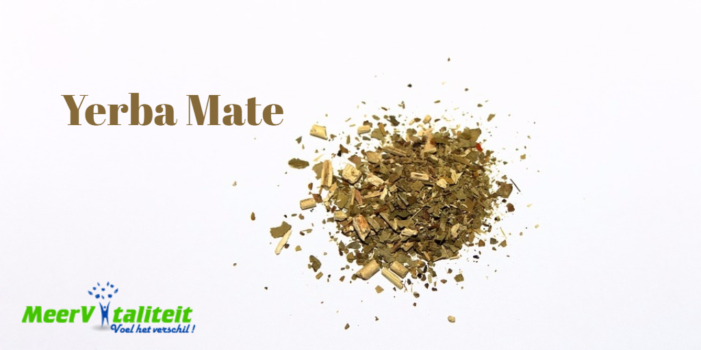 yerba mate