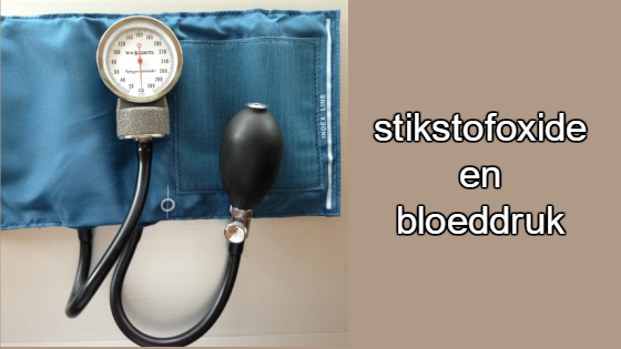 bloeddruk, stikstofoxide