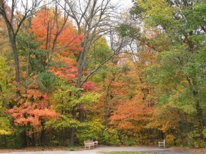 gezondheidstips herfst