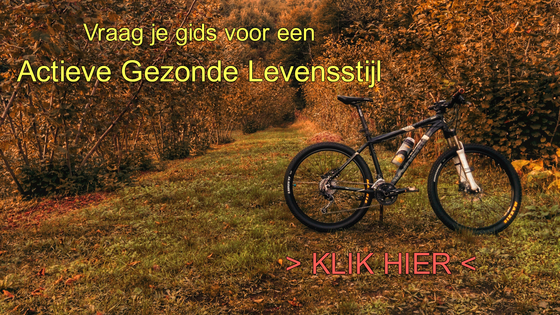 Actief gezonde levensstijl