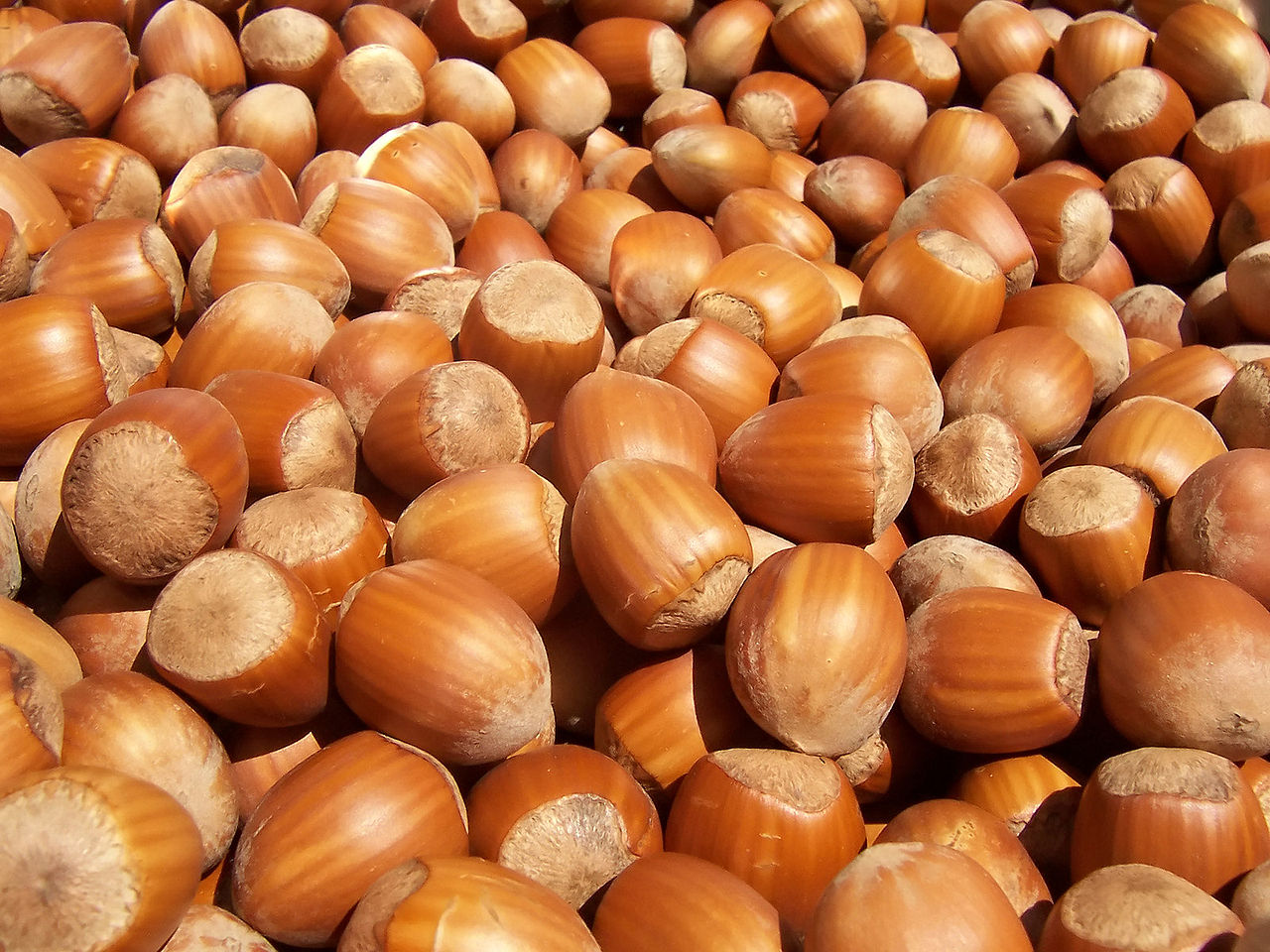 welke vitamines, vitamine B12