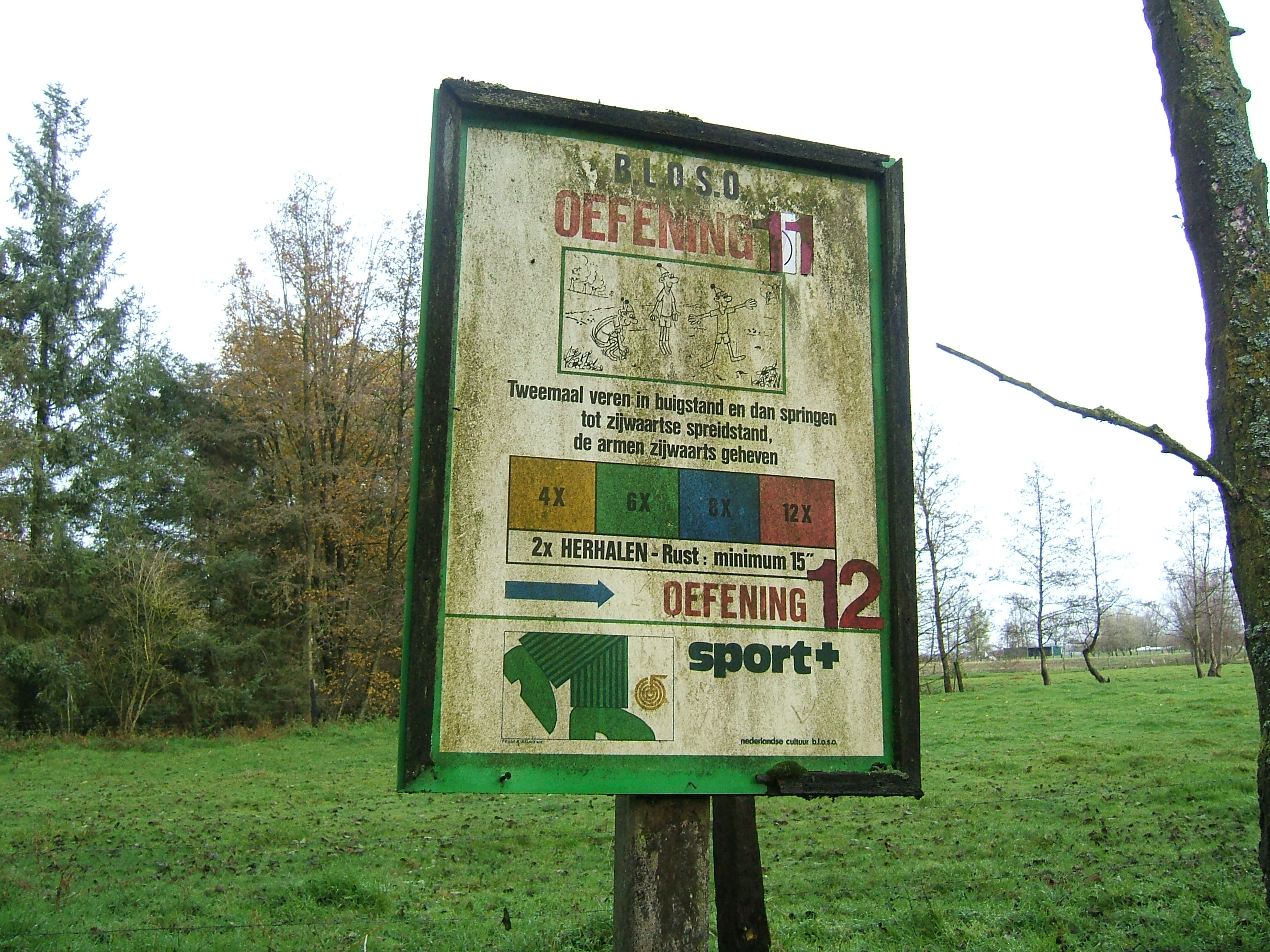 fitness in mijn buurt