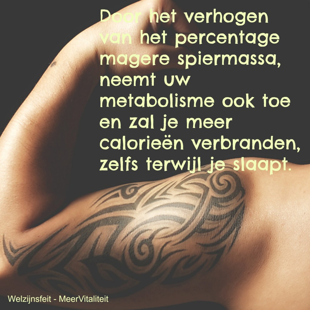 spiermassa en metabolisme