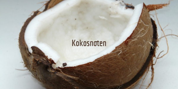 kokosnoten